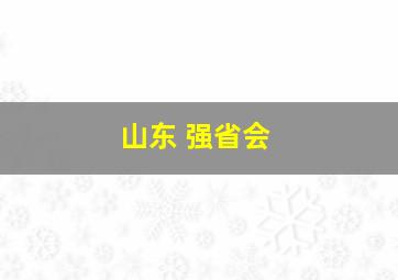 山东 强省会